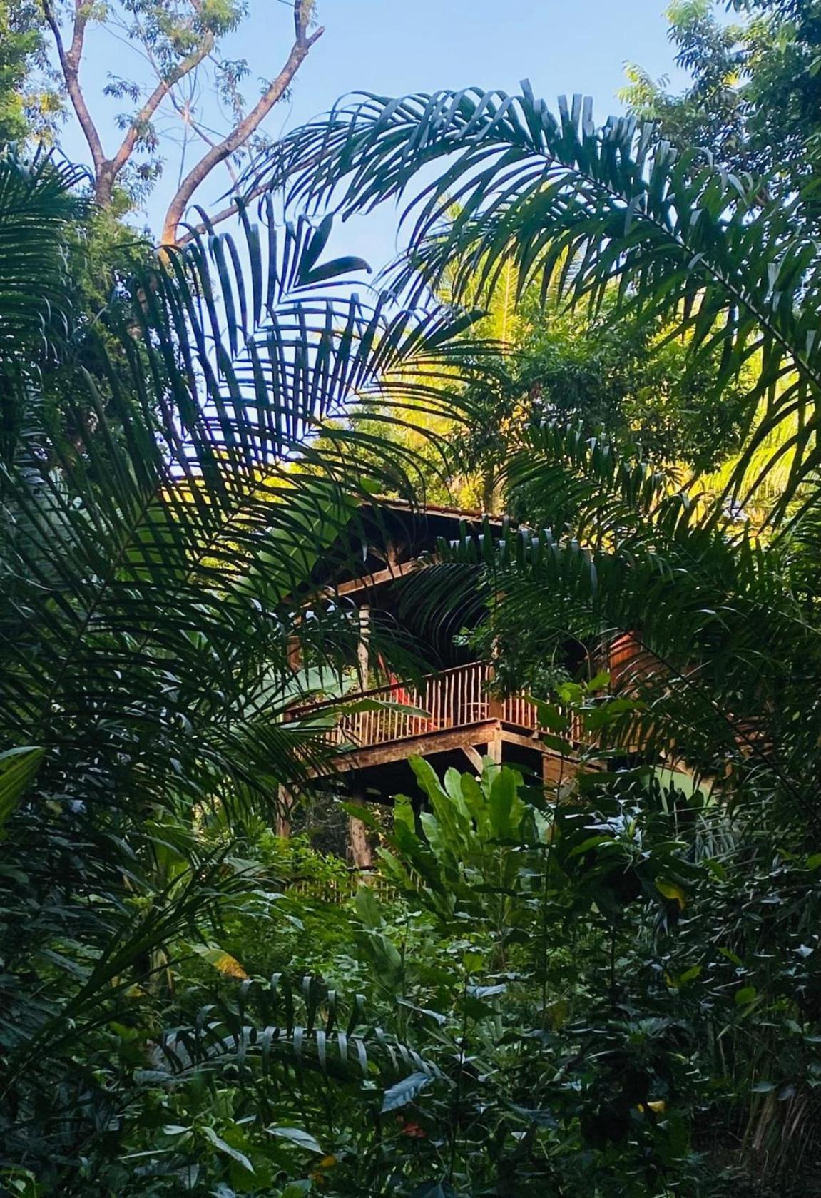 Pousada Anjali Velha Boipeba المظهر الخارجي الصورة